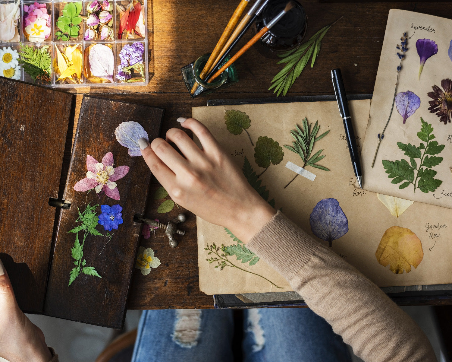 Cara Membuat DIY Pressed Flowers Three Bouquets