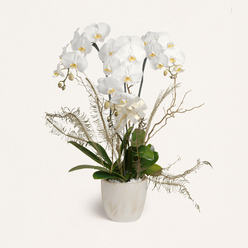 Vas Bunga Anggrek Putih Bianca Jakarta | Three Bouquets