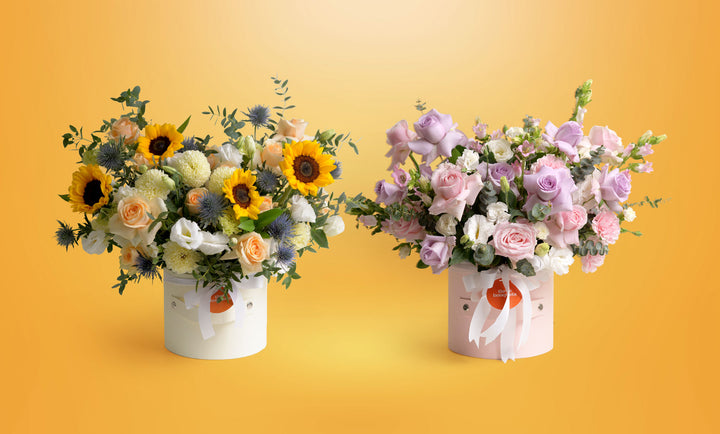 Bloom Box | Three Bouquets