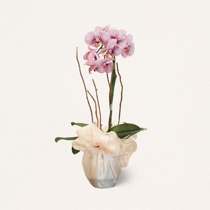 Vas Bunga Anggrek Ungu Lilac Jakarta | Three Bouquets